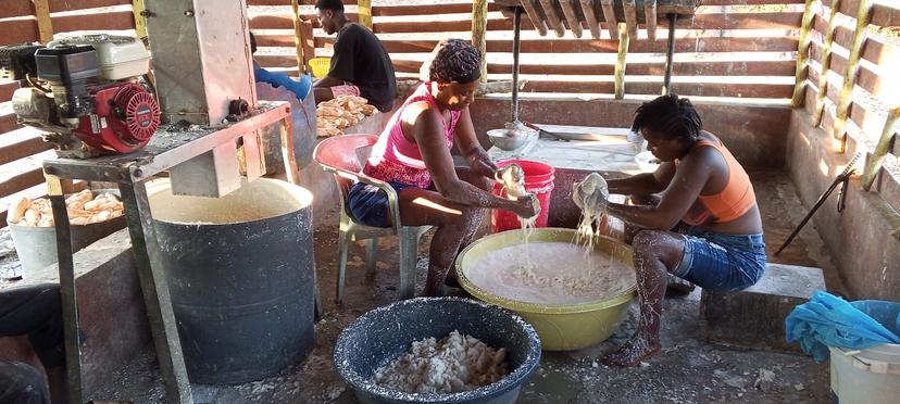 Préparation d'amidon à l'atelier-entreprise de Wandéa