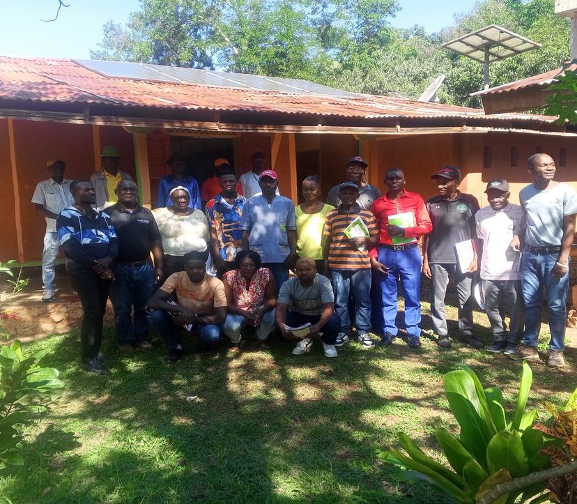 Formation des entrepreneurs paysans de la filière manioc