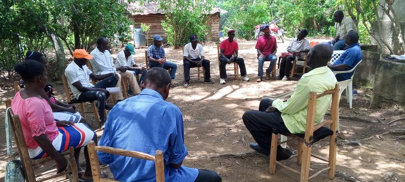 Formation des planteurs de manioc à Grande-Savane