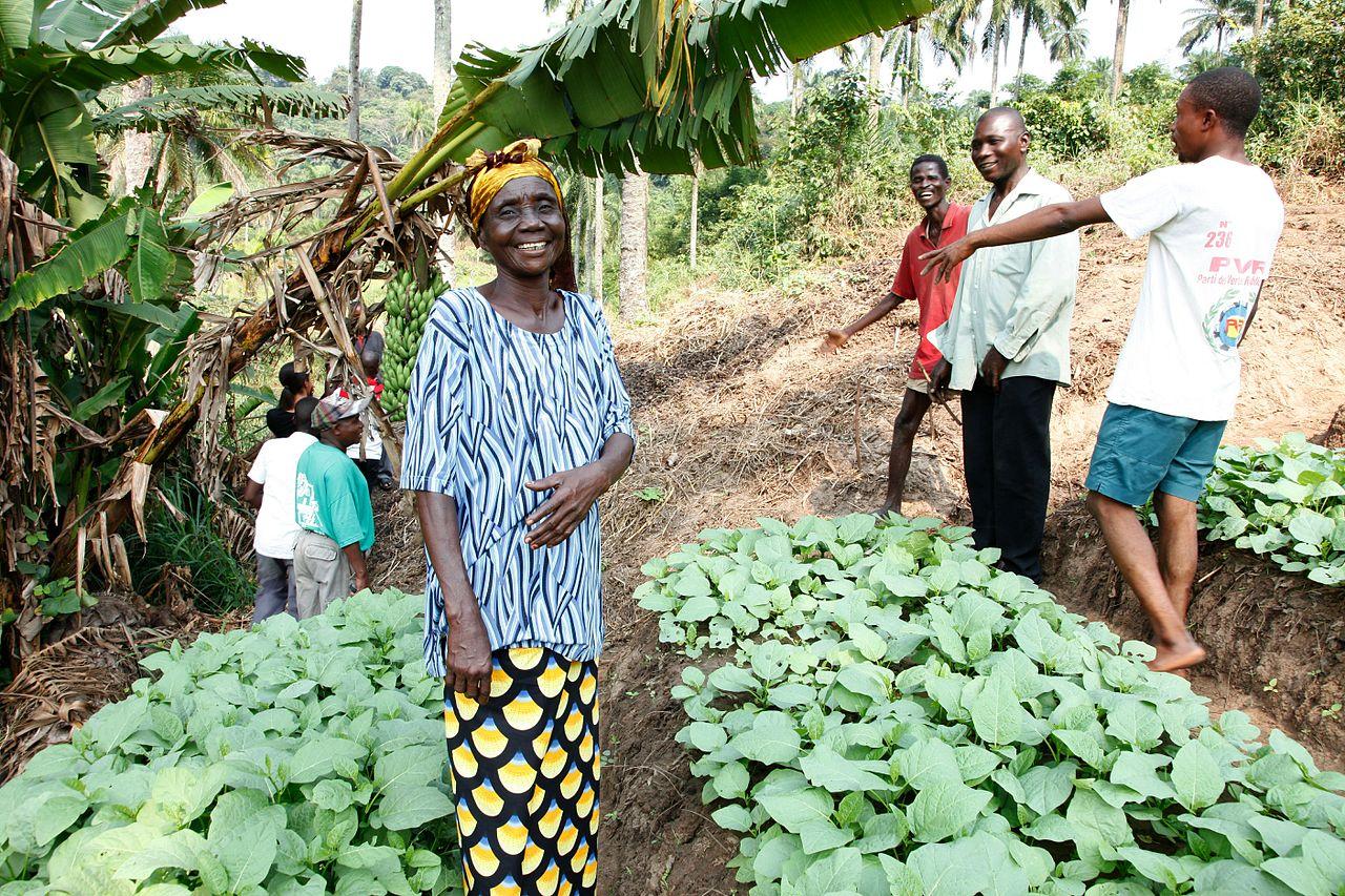 Développement communautaire rural — GADRU