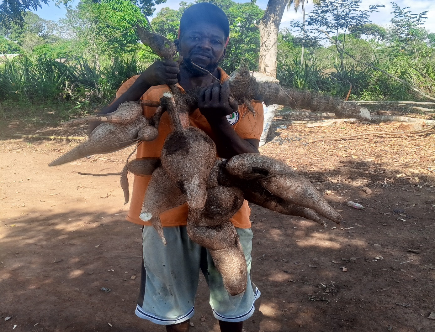 Waking Monfrère, producteur de manioc et opérateur de l'atelier-entreprise de Wandéa